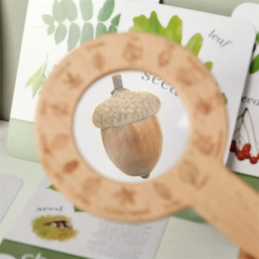 Montessori เด็กกลางแจ้ง Explorer เครื่องมือของเล่นเพื่อการศึกษาไม้แว่นขยายของเล่นสํารวจสติปัญญา
