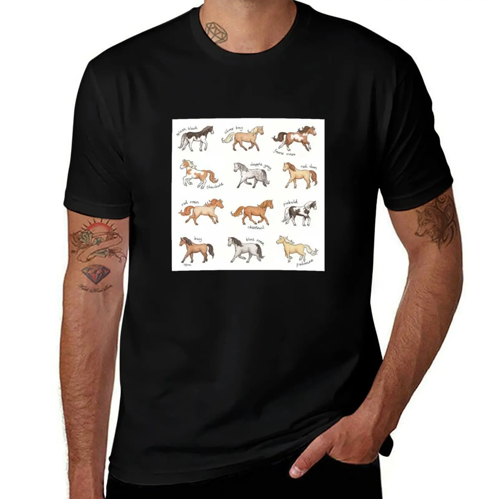 Horses with different coat colours and markings on a white background T-Shirt Plus Size Non-Shrink T-Shirt