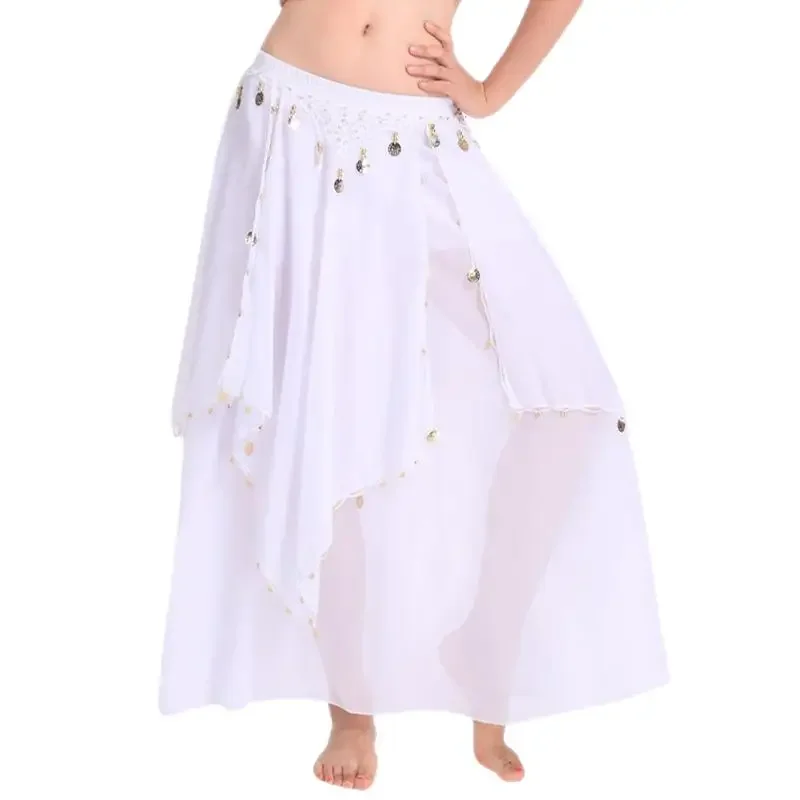 Women Belly Dance Long Skirt with Coins Chiffon Belly Dancer Costumes Layered Skirt Party Festival Costume