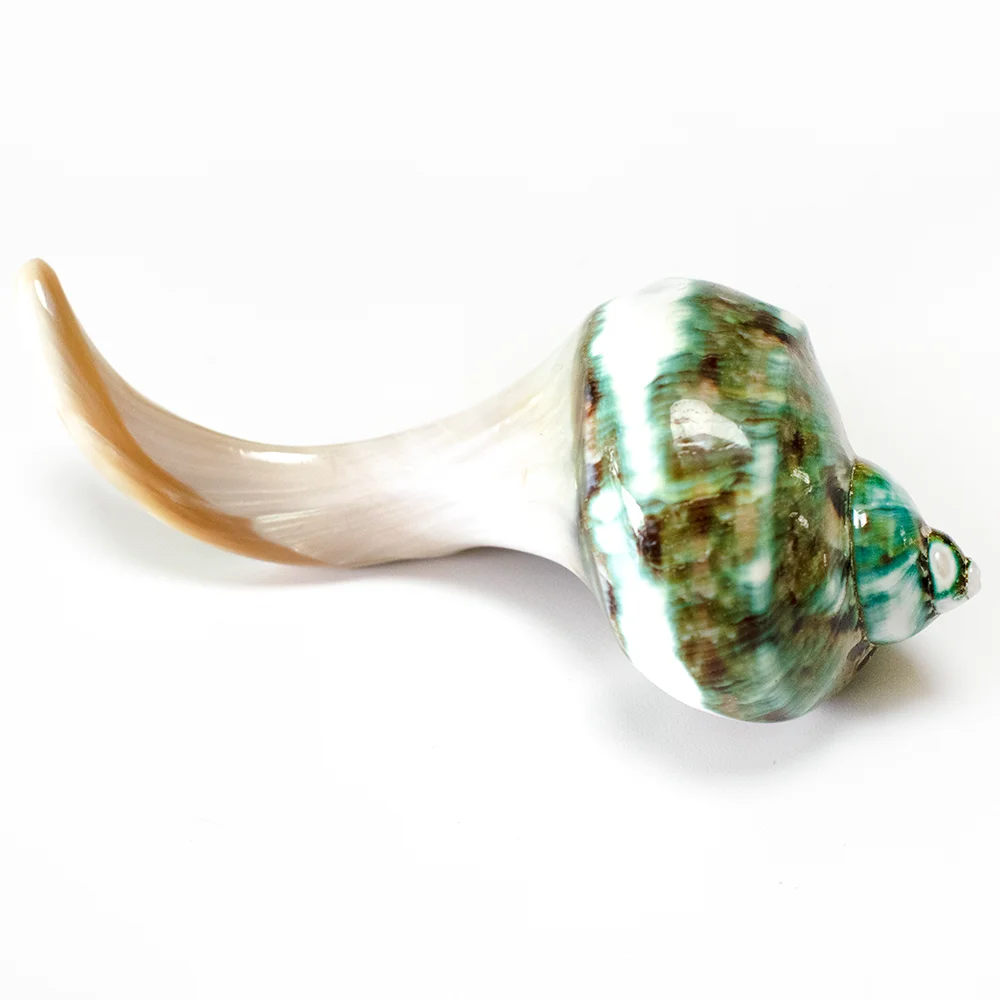 Natural Shell Chopsticks Holder Chopstick Rest Spoon Fork Stand Holder Shellfish House Decor Home Table Party Ornaments