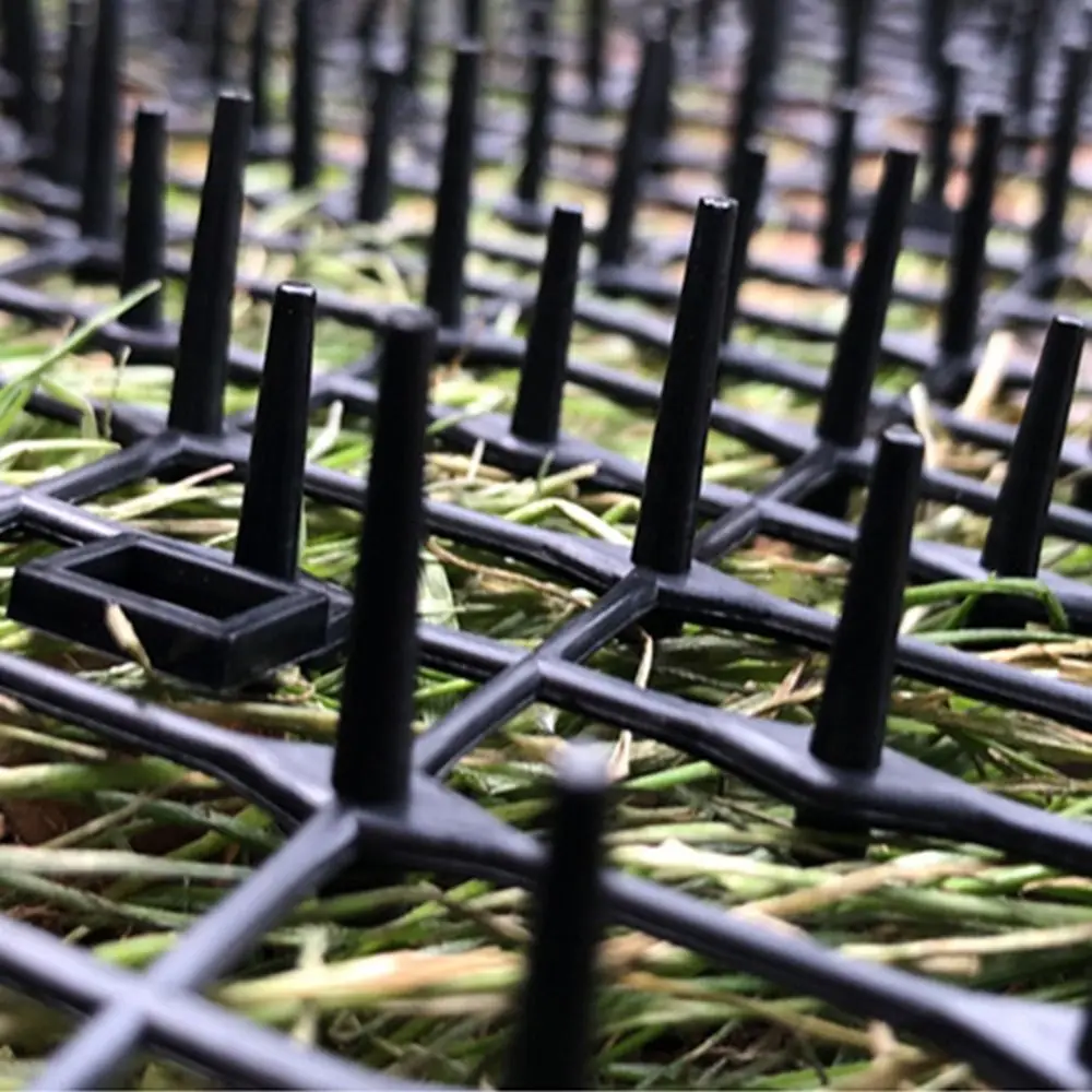 2M/4M Cat Scat Mat …