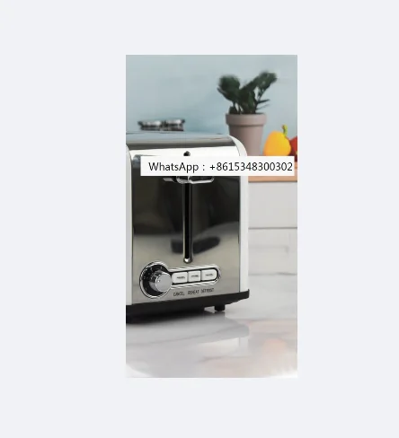 Professional stainless steel multifunctional vertical toaster