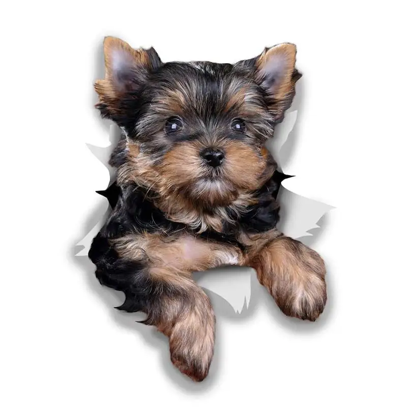 M463 Wurst Hund Rottweiler Hund Yorkshire Terrier Hund PVC Haushalt Dekoration Wand Aufkleber Toilette Aufkleber – Detail 1
