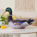 duck ame