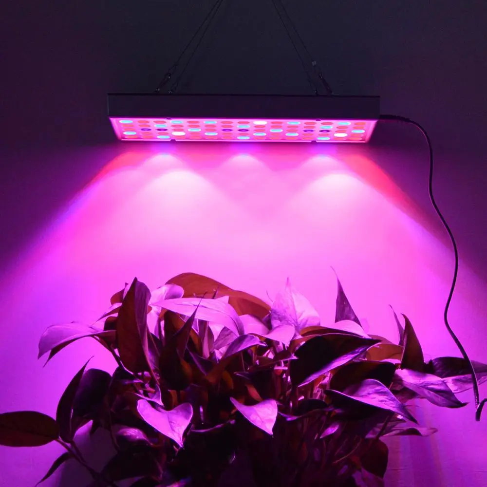 25W 45W Indoor LED Wachsen licht Phytolamps Volle Spektrum LED Sämling Blumen lampe Für Pflanzen Gemüse Samen wachsen Zelt beleuchtung