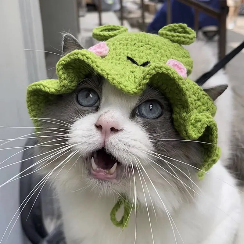 

Pet Knitted Frog Hat for Going Out To Shade The Sun with Lotus Cute Headgear for Dogs Small Dogs Cute Pet Photo Accessories