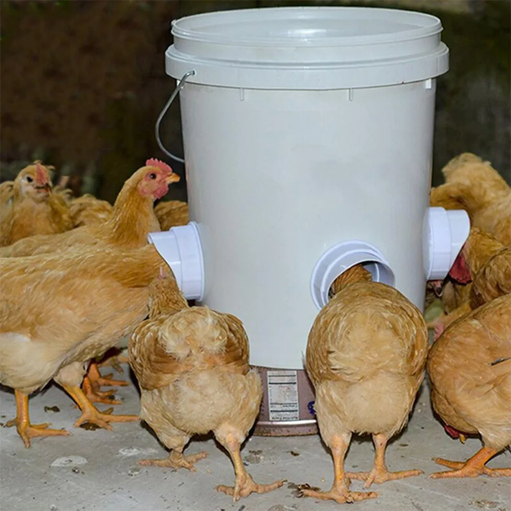 Farm Poultry Feeding Chicken Feeder DIY Rainproof Feeder Port Kit Buckets Barrels Bins Troughs Automatic Waterer Chicken Feeder