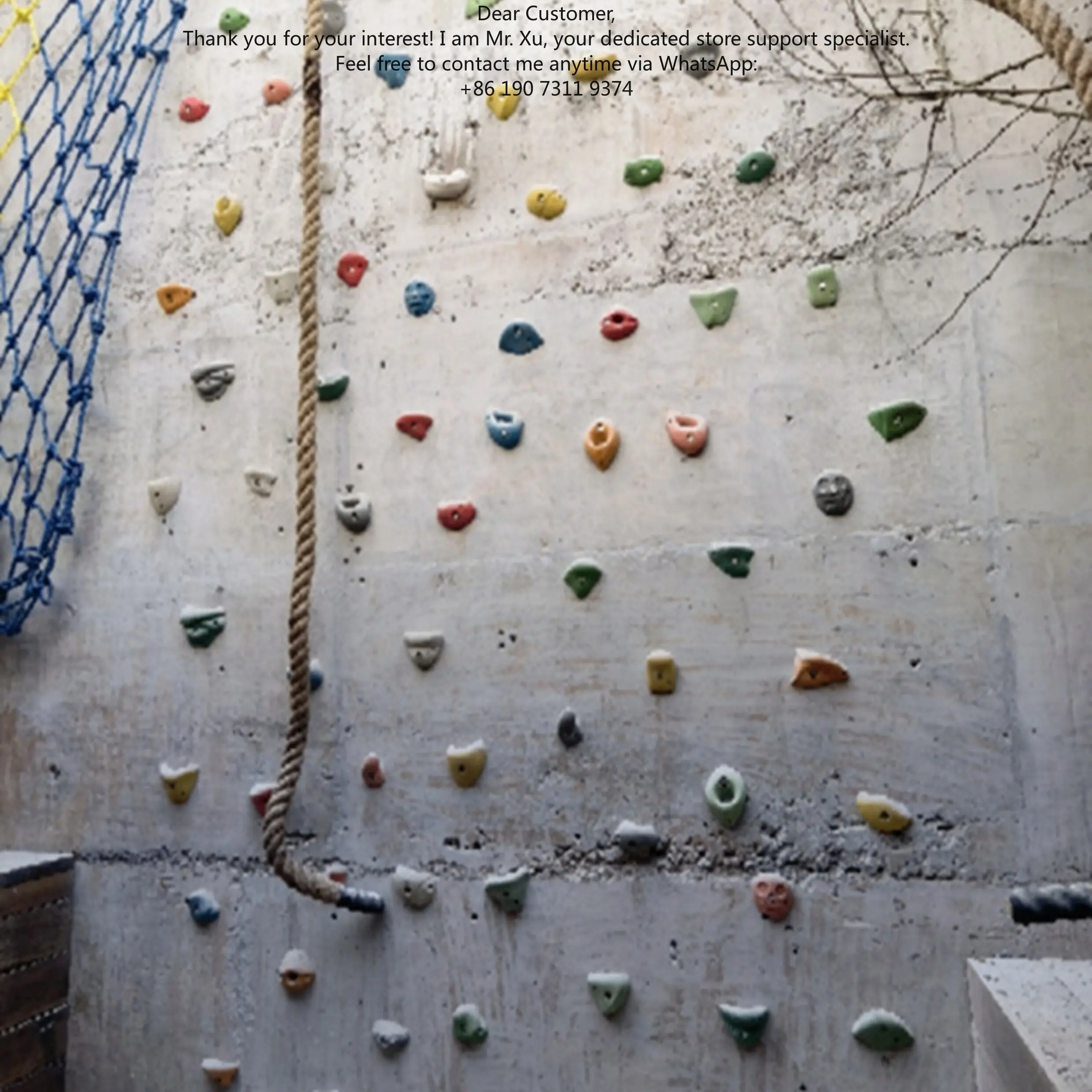 Resin Climbing Rocks for Indoor Outdoor Climbing Wall Sports Sensory Integration Gecko Climbing Holds
