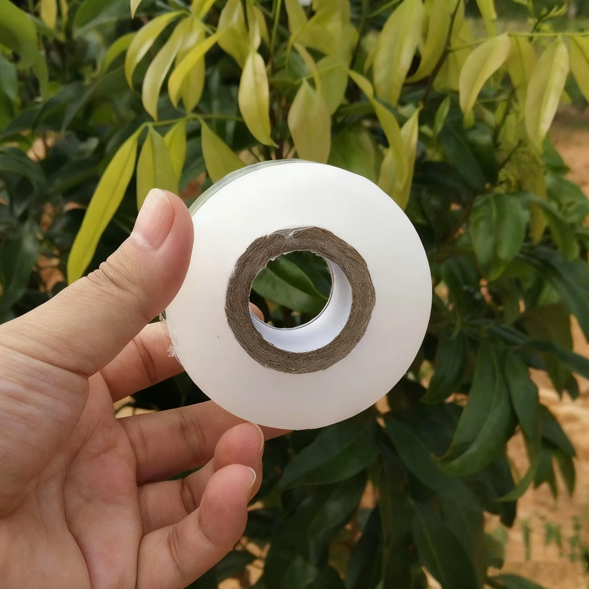 

Лента для прививки из полиэтилена, самоклеящаяся пленка для садовых деревьев, саженцев, лозы, аксессуары для прививки томатов, растягивающиеся