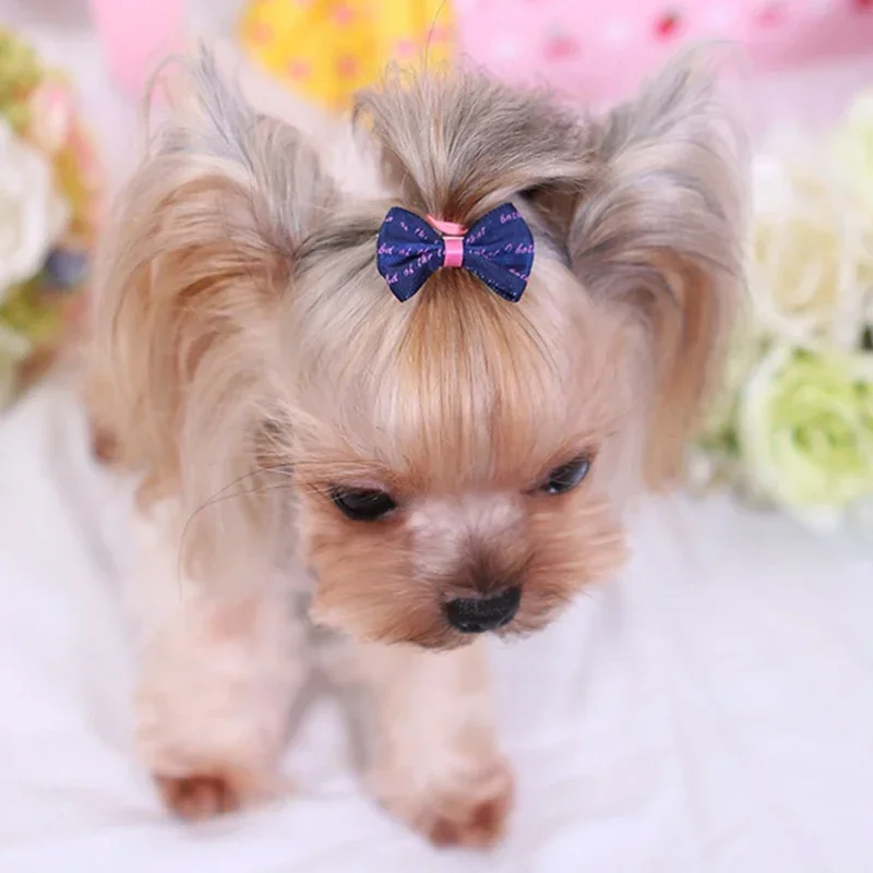 5pcs  Colorful Small Dog Bows Puppy Hair Bows Decorate Small Dog Hair Rubber Bands Pet Headflower Supplier Dog Accessories