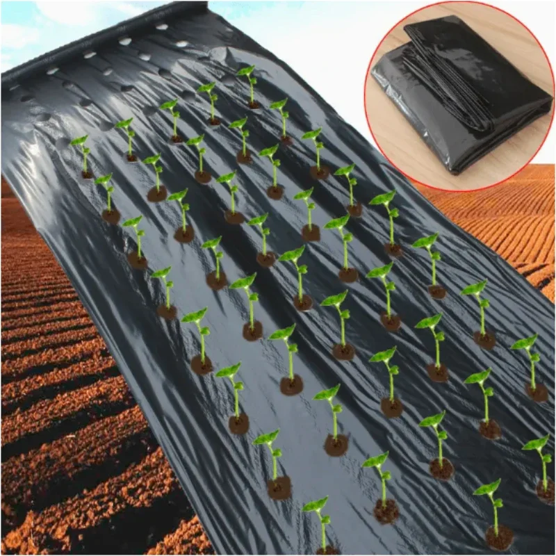 1pc 검은 필름 야채 정원 야채 모종 식물 GrowFilms Protection Cove