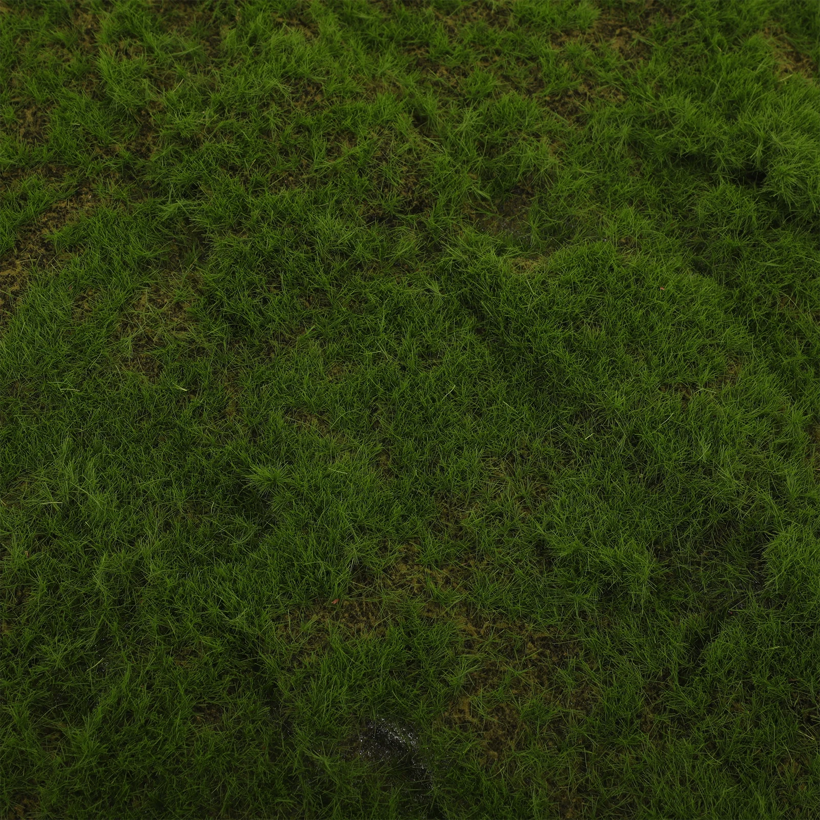 

Simulated Moss Lawn 40 Autumn Color 30x30cm Fake Grass Carpet Decorative Turf Artificial Green Wall Moss Plant Scenery