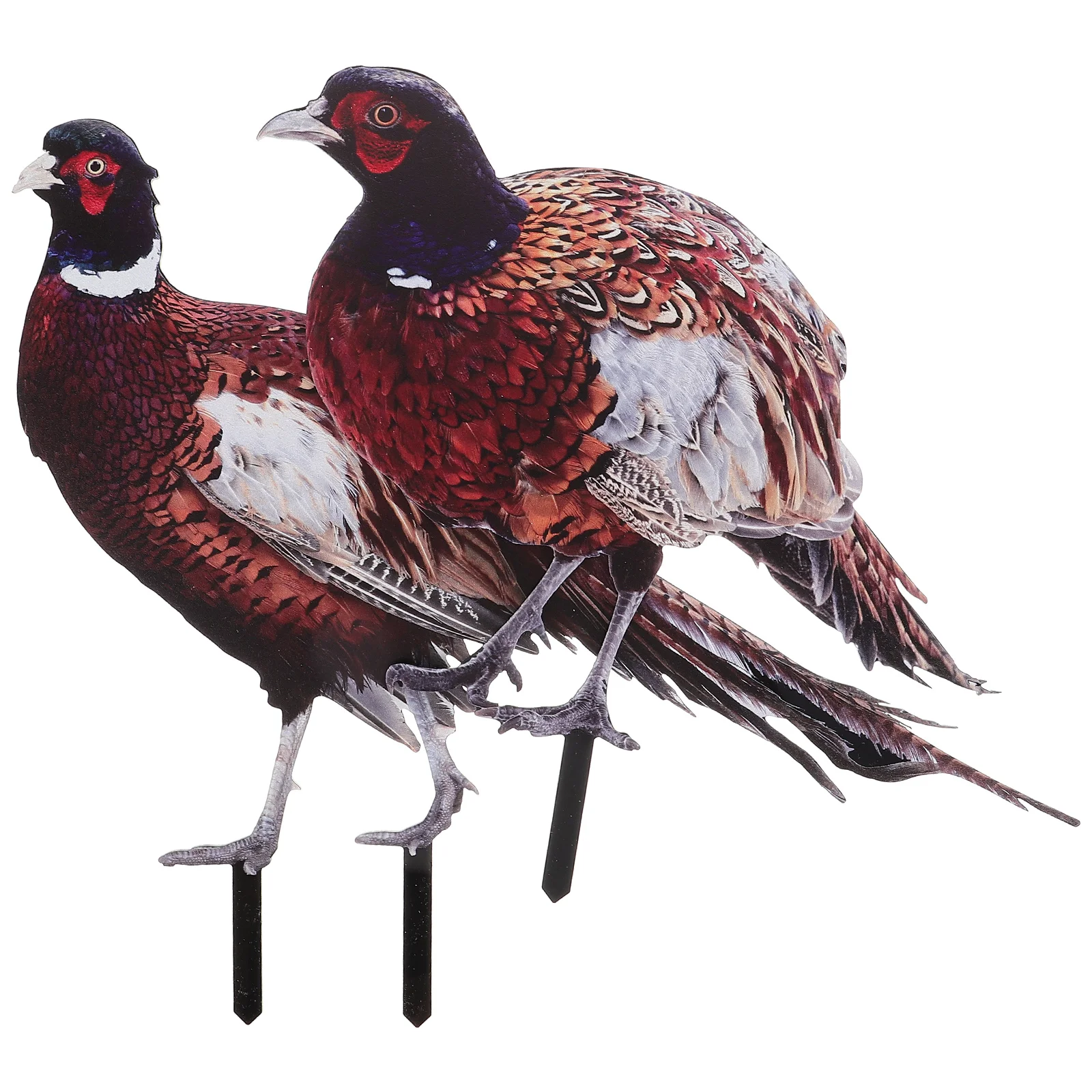 

2 Pcs Outdoor Adornment Pheasant Garden Decoration Yards Acrylic Stake Rooster Decorative