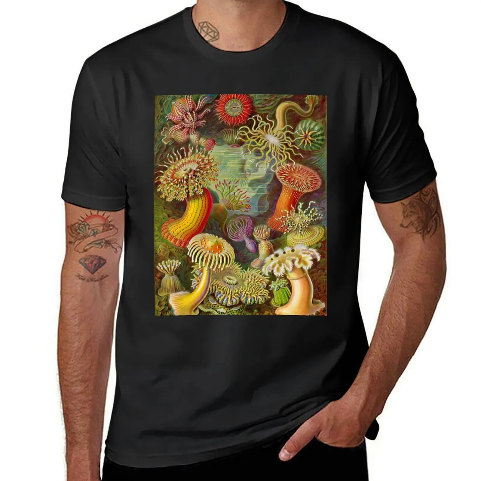 Sea anemone - Ernst Haeckel T-Shirt summer top quick-drying oversizeds summer tops men clothing