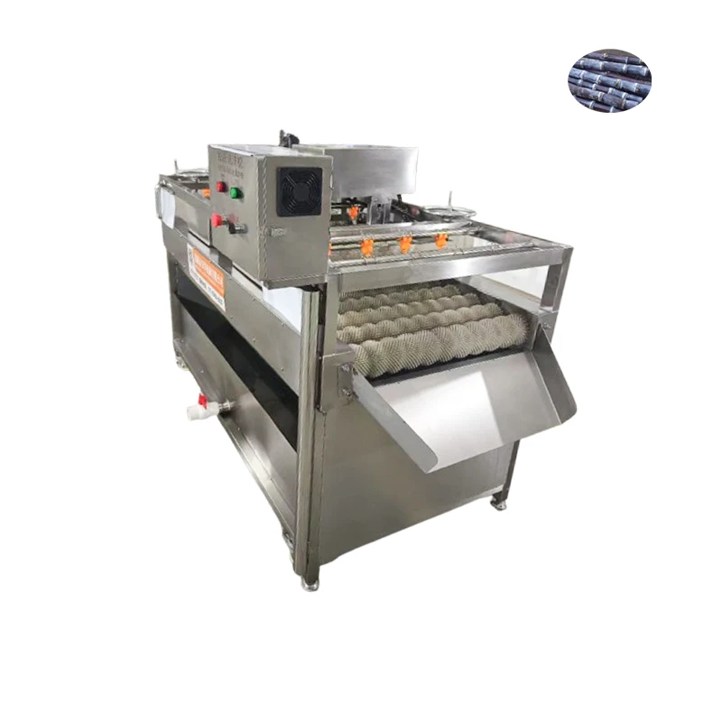 Customized Sugarcane Processing Equipment Sugarcane Vegetable Washing Machine Sugar Cane Washing Peeling Machine
