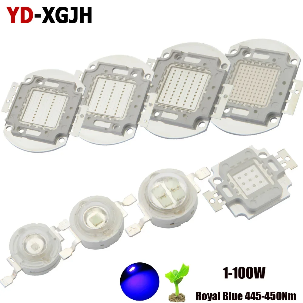 High Power LED Chip Royal Blue 445-450Nm 300-350Ma 3000-3500Ma 1W 3W 5W 10W 20W 30W 50W 100W 445-450Nnm for DIY Light Plant Grow