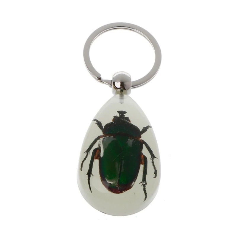 Luminous Amber Insect Keychain Black Resin for Key Ring Glow in the Dark Pendants with Insect Sample Inside image 5