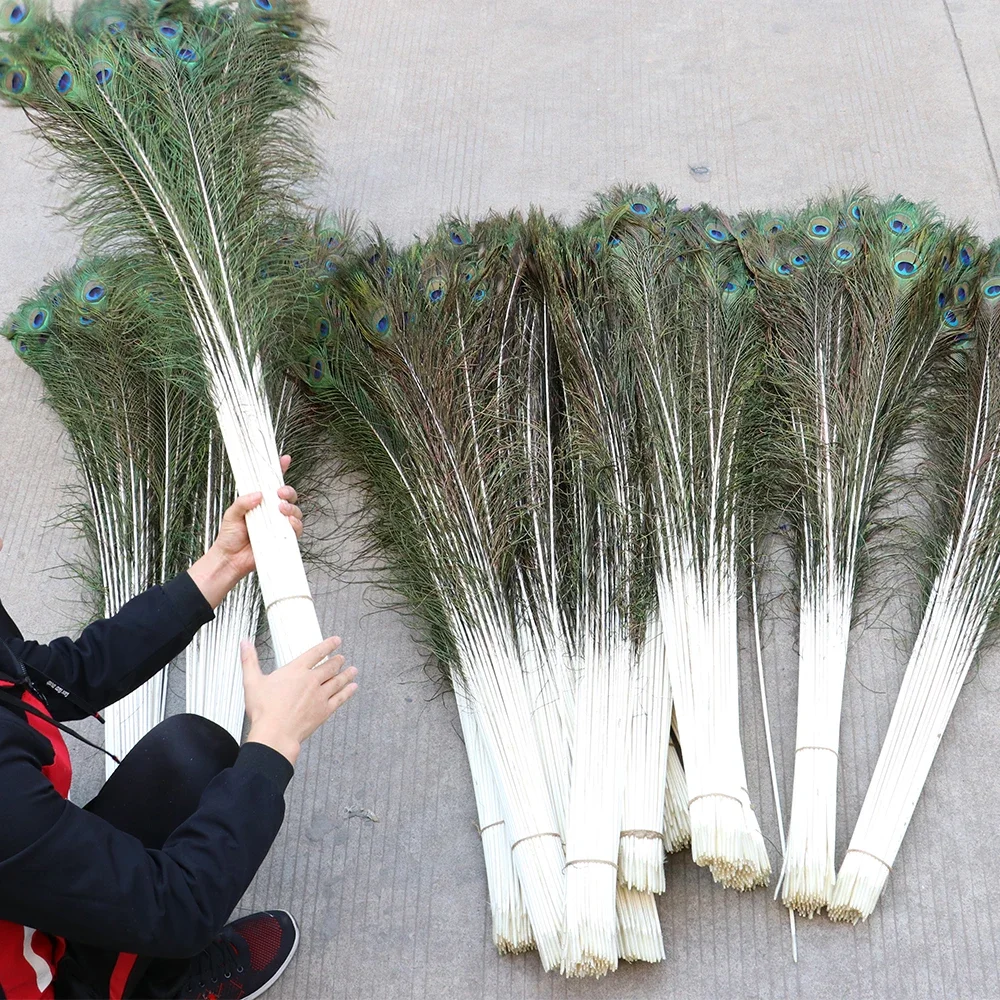 Wholesale 10PCS Natural Big Eyes Peacock feather 25-80CM High Quality feathers for party Home Decorative Peacock Plume