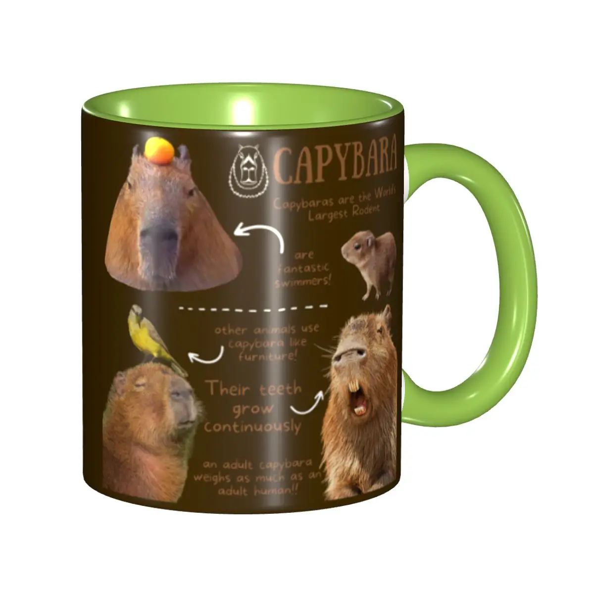 Custom Capybara Fun Facts Coffee Mugs DIY Ceramic Milk Tea Cup
