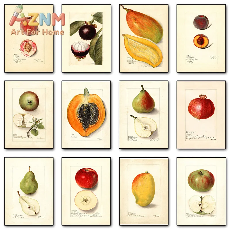Fruit Vintage Kitchen Apple Papaya Mango Pomegranate Banana Poster Print Wall Art Pictures Canvas Painting Room Home Decor Gi