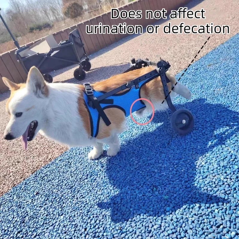 Silla de ruedas ajustable para perros pequeños con parálisis trasera - imagen 4