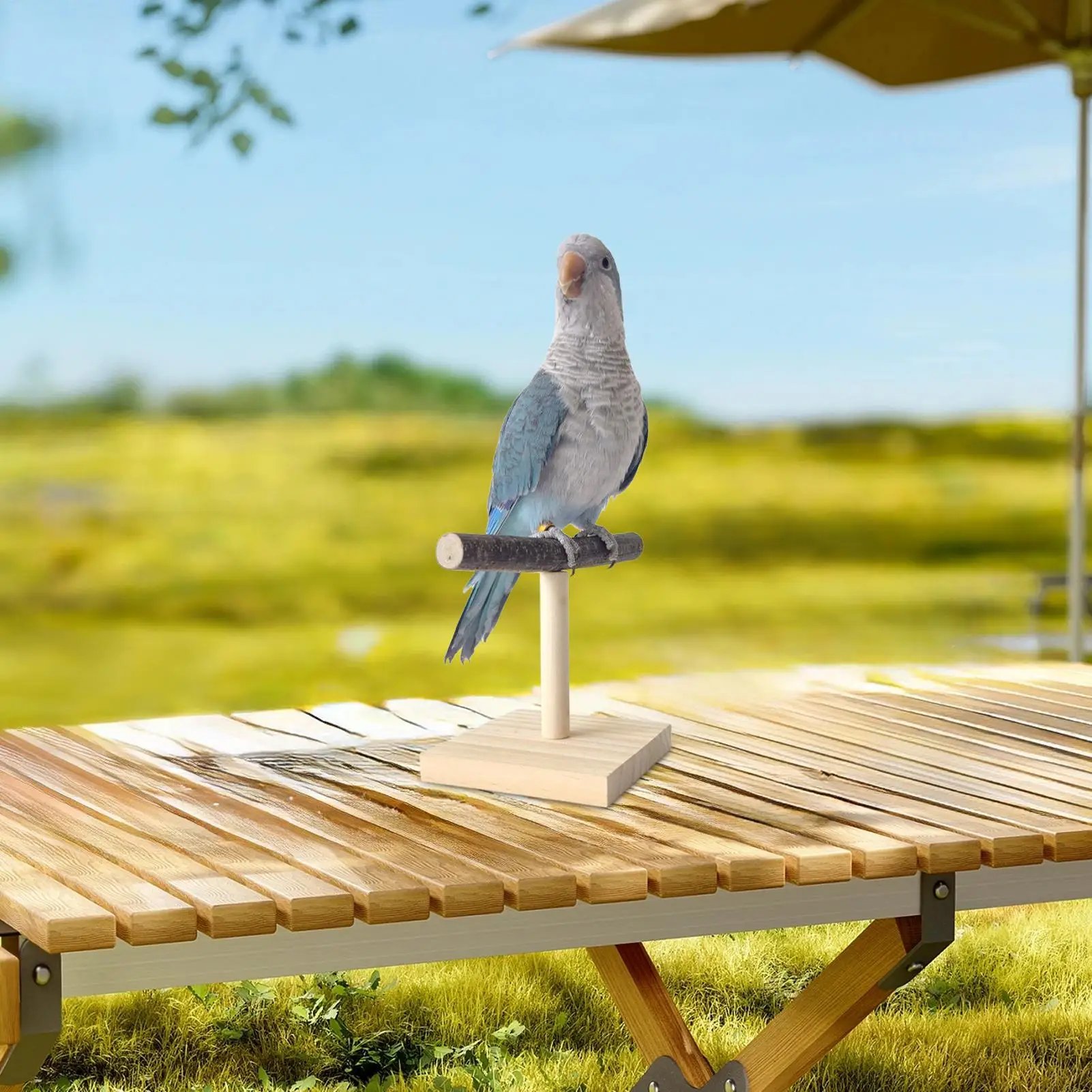 Wood Parrot T Perch Bird Perch Birdcage Stand Wooden Pet Bird Perch Bird Training Branch Rack For Tabletop Parrots Bird view 3