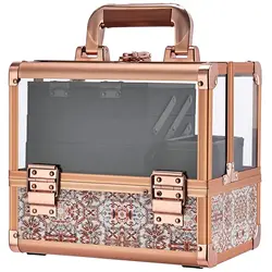 Makeup Box Cosmetic Train Case Clear Acrylic Shell Jewelry Manicure Suitcase 3 Tiers Trays With Mirror and Brush Holder Lock