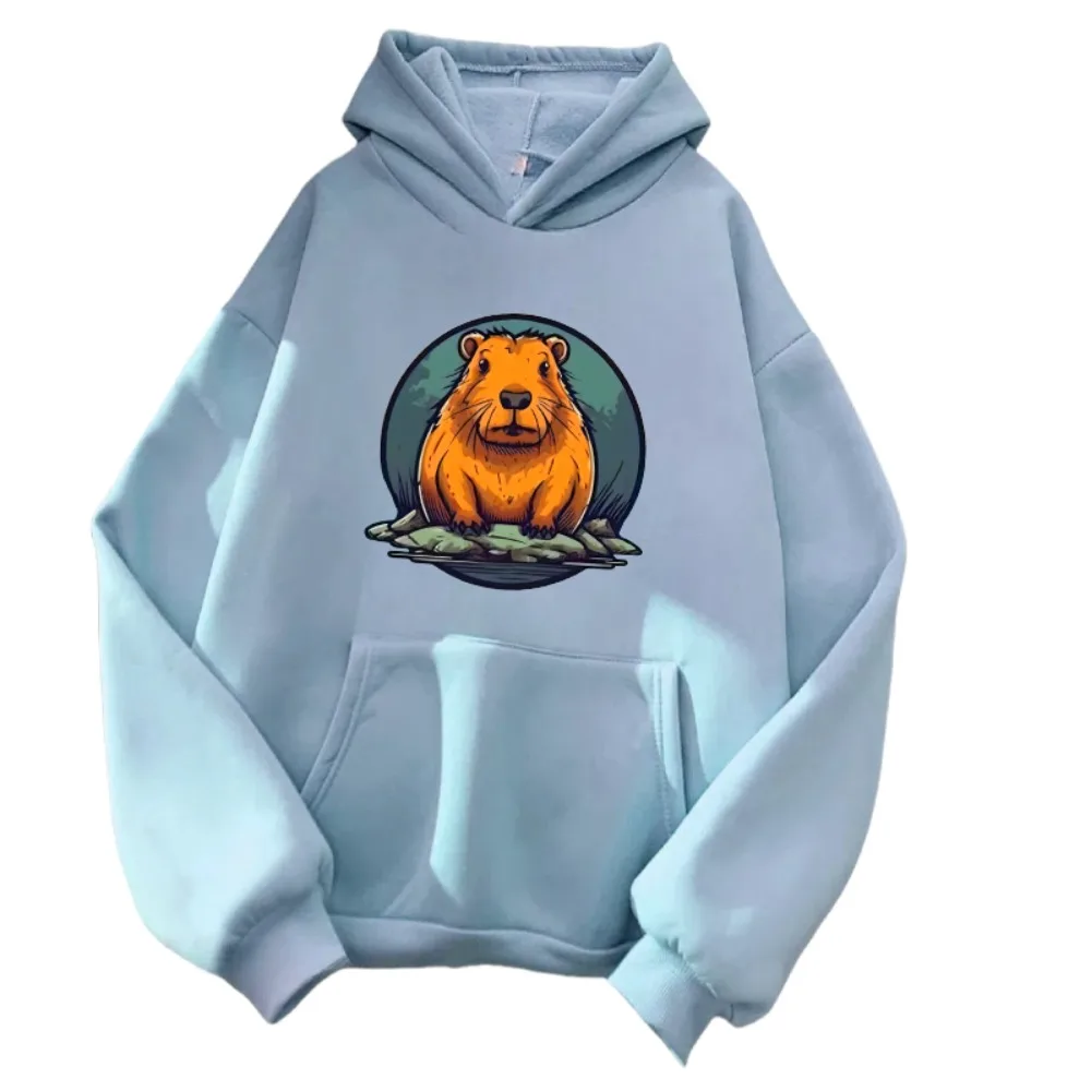 

Cartoon capybara logo y2k streetwear kawaii harajuku sweatshirt ropa men women winter clothes outerwear outfit anime hoodie fit