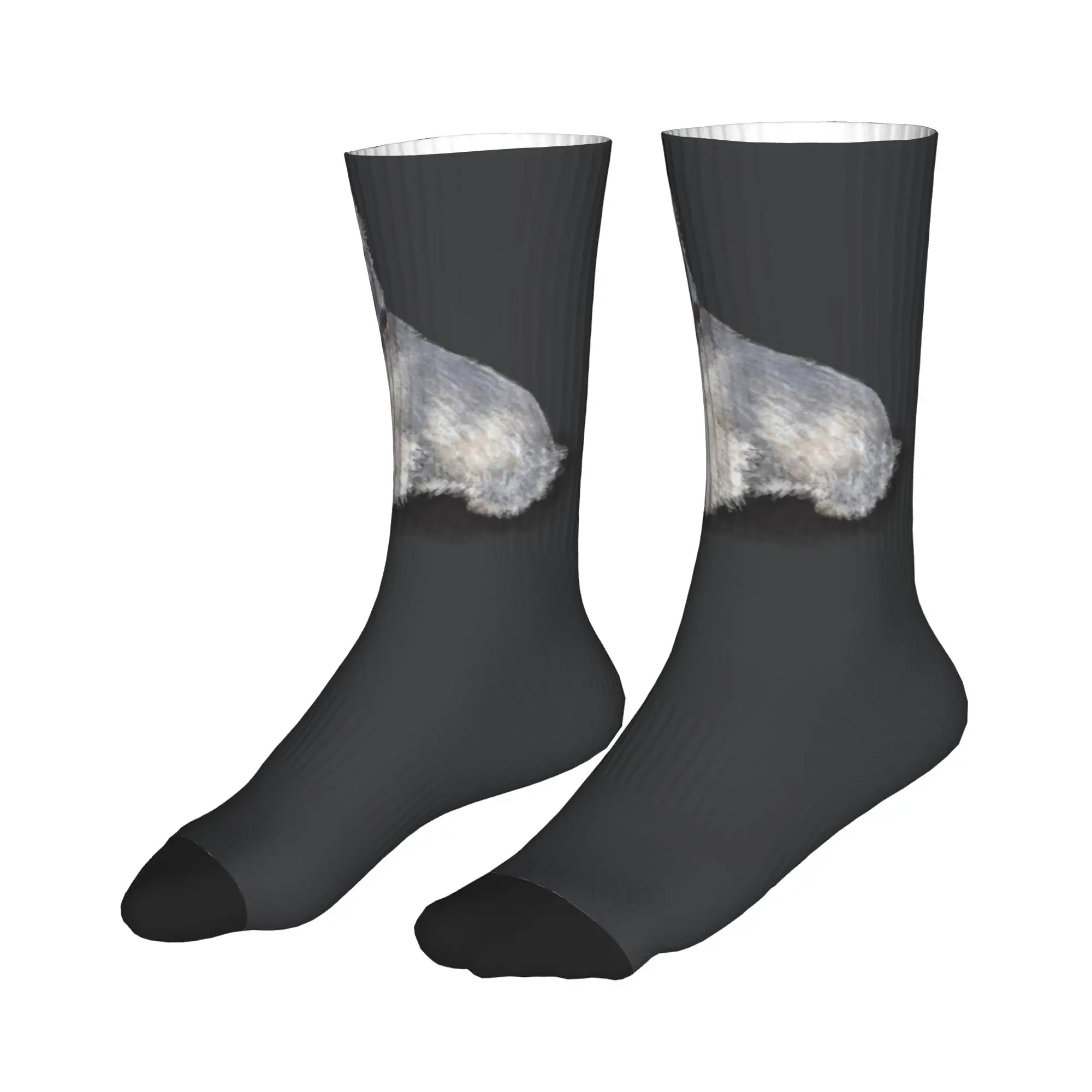 

All Seasons Stockings The West Highland Terrier Sport Socks Fashion Middle Tube Socks for Men Women Birthday Present