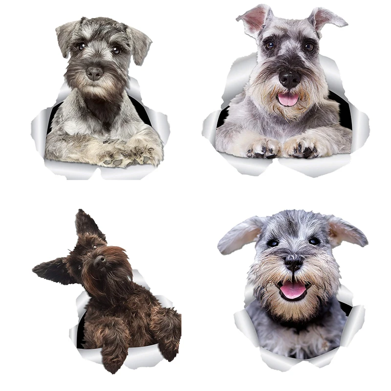 Three Ratels FTC-10…