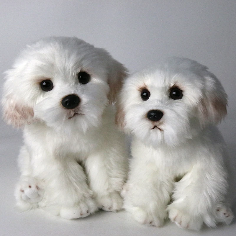

Cute Maltese Stuffed Dog Plush Toy – Fluffy Simulation Puppy Doll, Birthday Christmas Gift for Kids, Dropshipping
