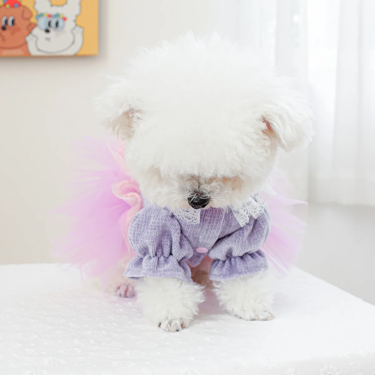 1PC Pet Clothing Spring and Autumn Purple Pepe Princess Wedding Dress Princess Dress Suitable for Small and Medium sized Dogs