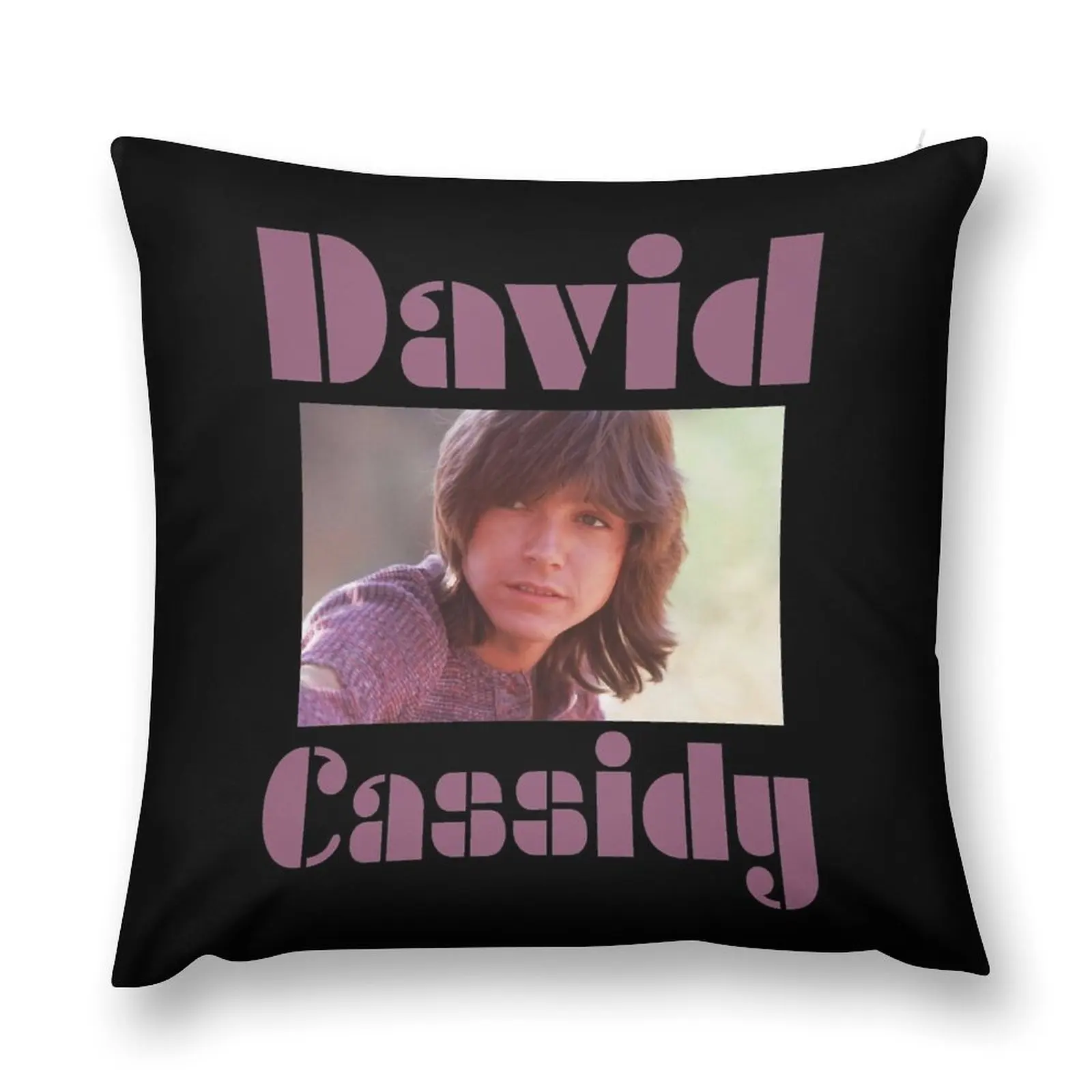 

David Cassidy Throw Pillow ornamental pillows for living room Sofa Pillow Cover Luxury Living Room Decorative Cushions pillow