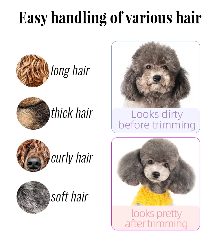 Fenice 6//6,5/7/7,5 Zoll Professionelles Fellscheren-Set für Hunde, gerade, gebogen, dünnere und Chunker-Schere – Detail 12