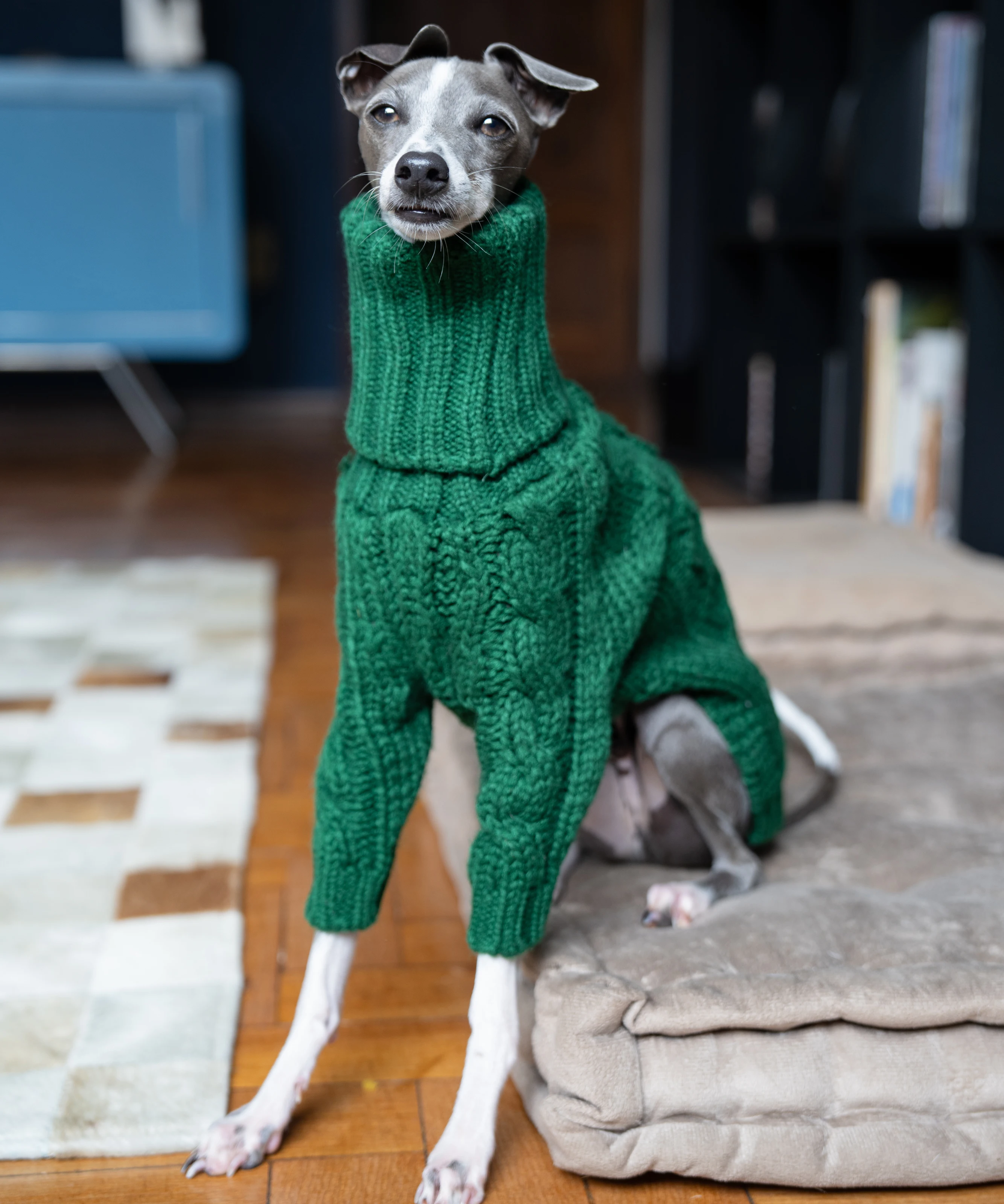 Green turtleneck thickened pet sweater Italian greyhound whippet two-legged knitted dog clothes