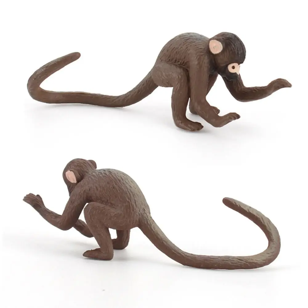 Animali selvatici Scimmia Action Figures Materiale PVC Modello di scimpanzé in miniatura Educazione Decorazioni per la casa Modello di gorilla orangutan Giocattolo per bambini