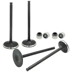 For Polaris Predator 500 2003-2007 Outlaw 500 2006-2007 OEM# 3087982 Cylinder Head Intake and Exhaust Valve Seal Kit