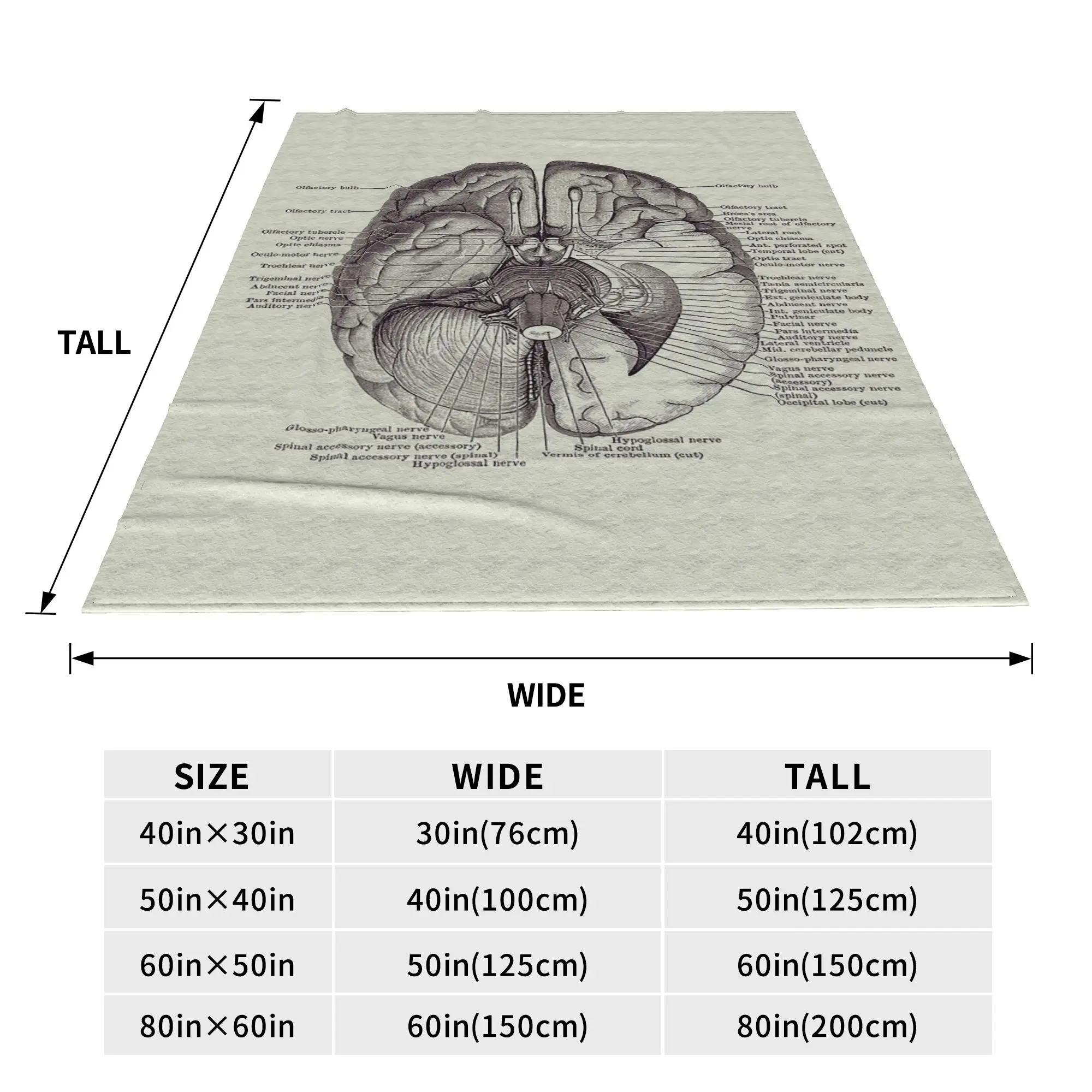 Brain Nervous System Diagram Anatomy Blanket Soft Warm Flannel Throw Blanket Cover for Bed Living room Picnic Travel Home Couch