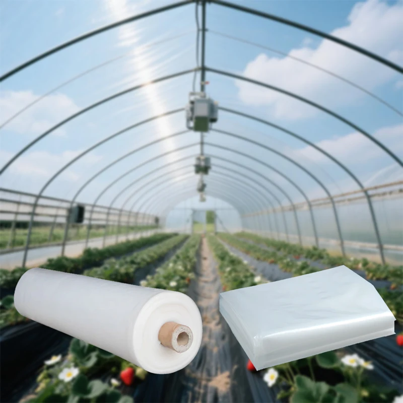 200 Micron Light Diffusion PE Greenhouse Film UV Resistant Anti-Aging Agricultural Plastic Cover for Commercial Tomato Shed