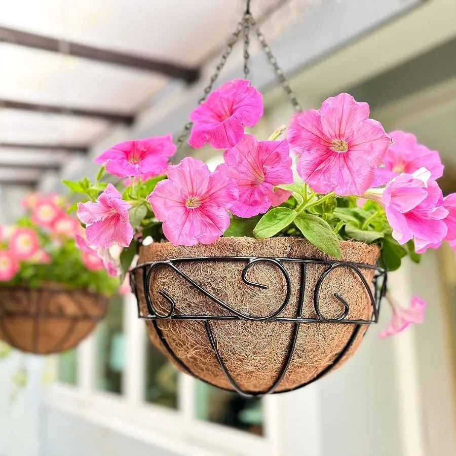 

LaLaGreen Hanging Planter for Outdoor Plants 12 Inch 2 Pack Hanging Baskets with Coco Liner Black Metal Wire Flower Basket Pots