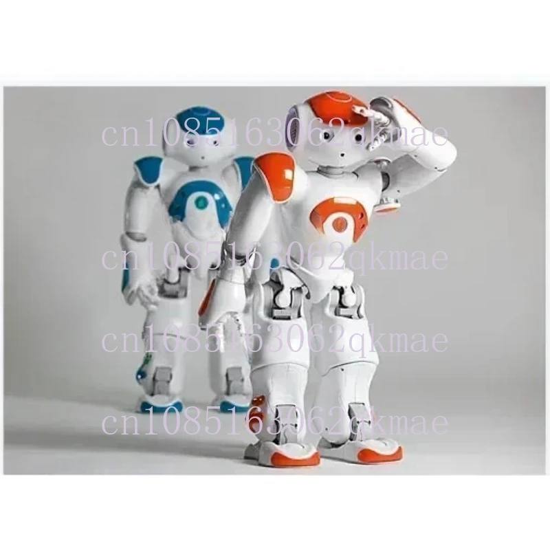 Aldebaran Robotics Nao Humanoid Robot  V6  Version