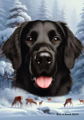 Flat Coated Retriever Winter Wonderland Flag