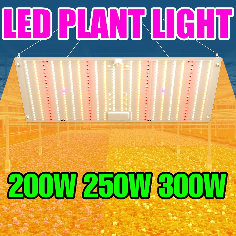 

300W Full Spectrum Plant Lamp LED Quantum Board Indoor Seeding Growth Box Greenhouse Tent Potted Flower Hydroponic Fill Lighting