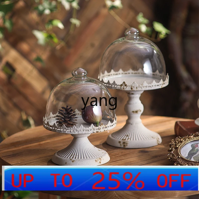 

LTT Vintage Distressed Restaurant Coffee Shop Cake Dessert Shop Iron Art Fruit Plate Decoration