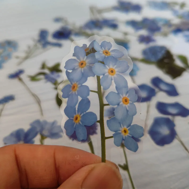 

320 шт., наклейки для домашних животных с цветами и растениями, водонепроницаемые планировщики «сделай сам», украшения для скрапбукинга, ноутбуков, тетрадей, дневника, декоративные фотографии