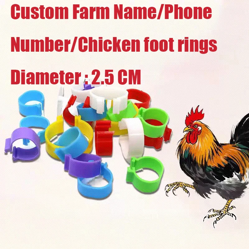 100 Customized Chicken Leg Rings Buckle-Type Poultry Leg Bands , Marking Rings for Chickens, Ducks, Geese,Poultry, Diameter 2.5