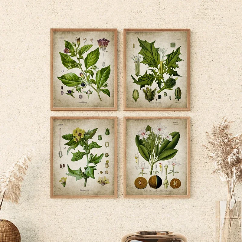 Vintage Botanical Poster Prints Deadly Nightshade Retro Halloween Decoration Painting Witchcraft Apothecary Herbs Canvas Picture