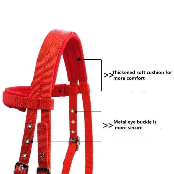 PP Webbing Horse Bridle مع Rein، وسادة من الصوف القطبي + لقمة Snaffle الثابتة #3