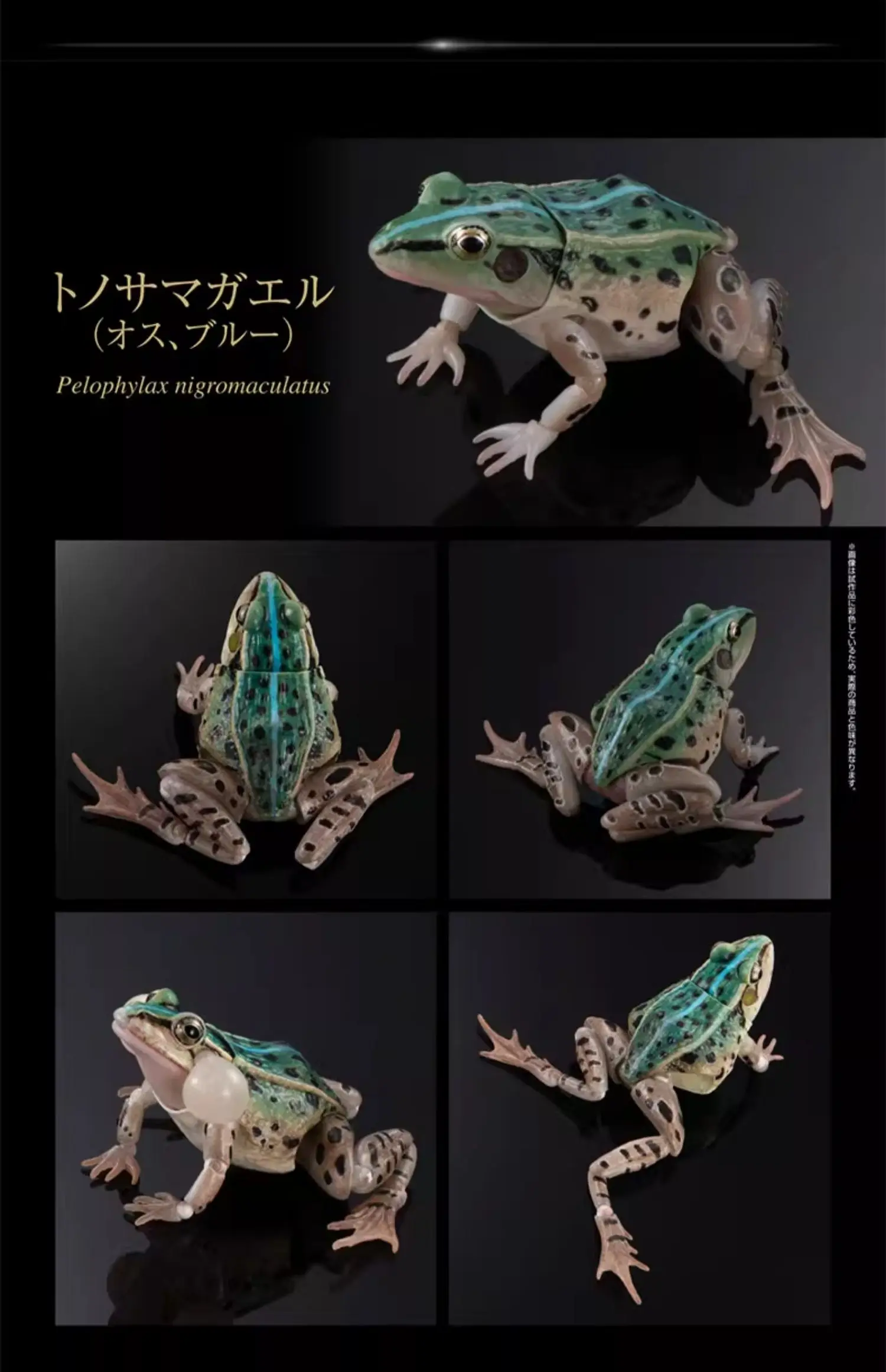 Bandai Gashapon Enciclopedia biografica Stagno maculato nero Rana Animali simulati Prop mobile Action Figures Modello Giocattolo per bambini
