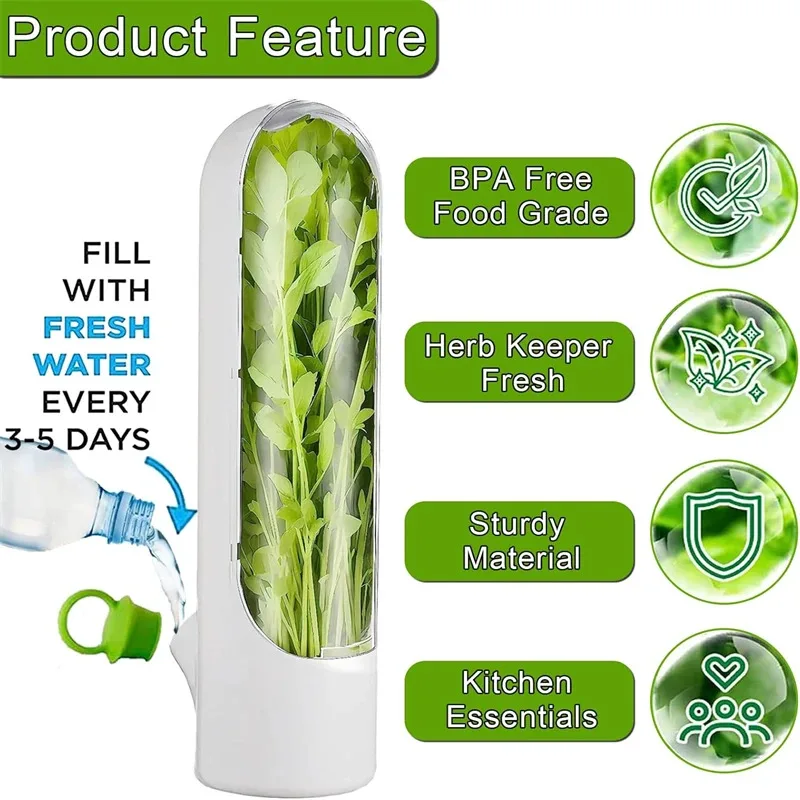 

TOPLIVING Herb Saver Container For Refrigerator Fresh Keeper Pod For Cilantro Parsley Asparagus Mint VegetablesExtends Freshness